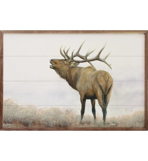 Majestic Elk Brown By James Wiens